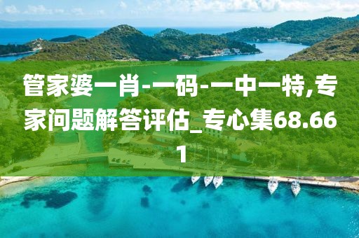 管家婆一肖-一码-一中一特,专家问题解答评估_专心集68.661