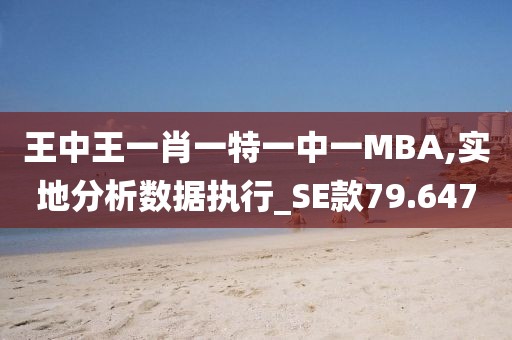 王中王一肖一特一中一MBA,实地分析数据执行_SE款79.647