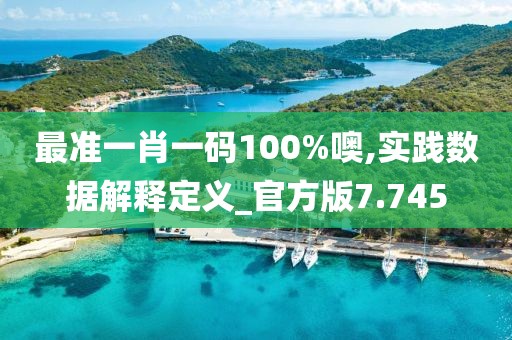 最准一肖一码100%噢,实践数据解释定义_官方版7.745