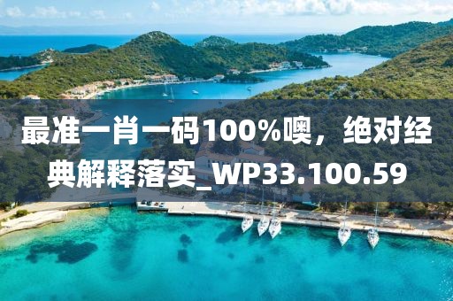 最准一肖一码100%噢，绝对经典解释落实_WP33.100.59