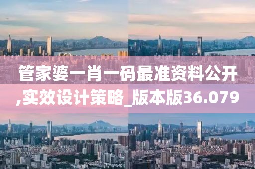 管家婆一肖一码最准资料公开,实效设计策略_版本版36.079
