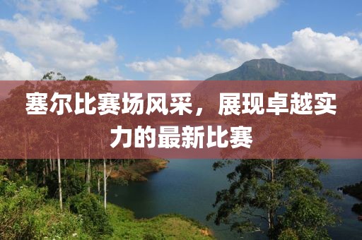 塞尔比赛场风采，展现卓越实力的最新比赛