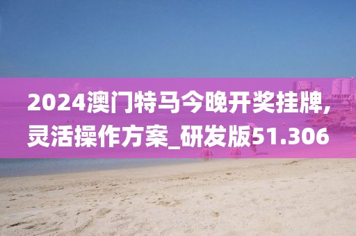 2024澳门特马今晚开奖挂牌,灵活操作方案_研发版51.306