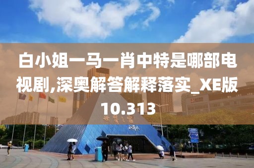 白小姐一马一肖中特是哪部电视剧,深奥解答解释落实_XE版10.313