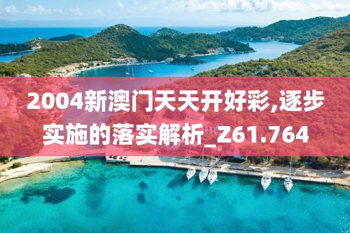 2004新澳门天天开好彩,逐步实施的落实解析_Z61.764