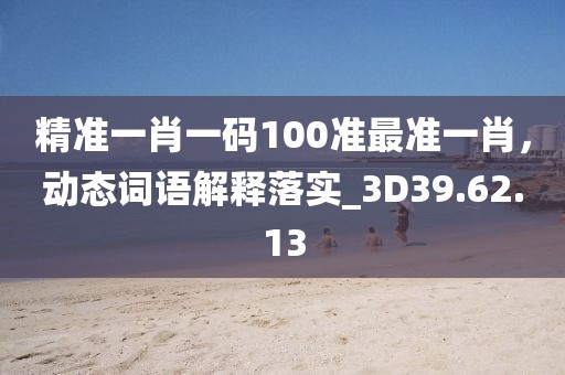 精准一肖一码100准最准一肖，动态词语解释落实_3D39.62.13