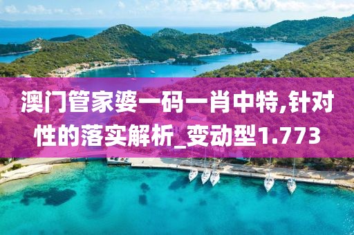 澳门管家婆一码一肖中特,针对性的落实解析_变动型1.773