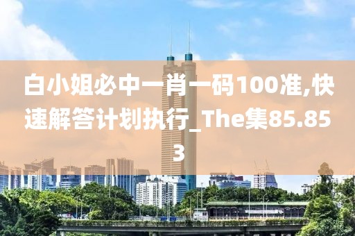 白小姐必中一肖一码100准,快速解答计划执行_The集85.853