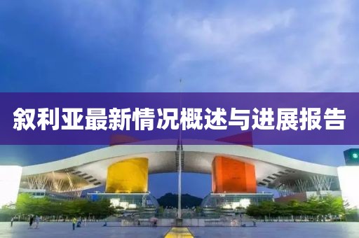 叙利亚最新情况概述与进展报告
