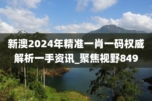 新澳2024年精准一肖一码权威解析一手资讯_聚焦视野849