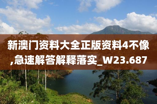 新澳门资料大全正版资料4不像,急速解答解释落实_W23.687