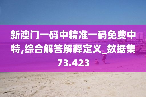 新澳门一码中精准一码免费中特,综合解答解释定义_数据集73.423