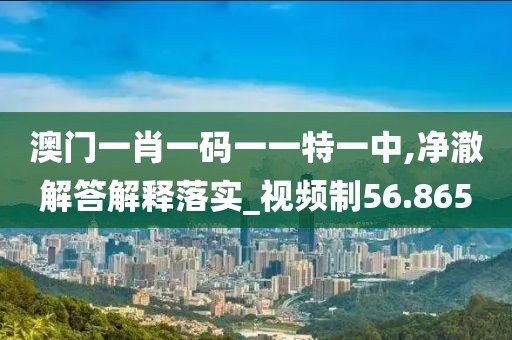 澳门一肖一码一一特一中,净澈解答解释落实_视频制56.865