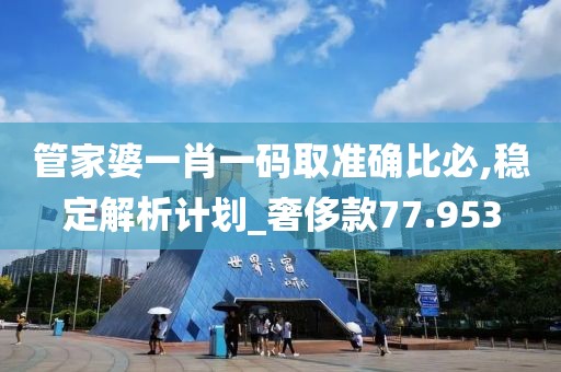 管家婆一肖一码取准确比必,稳定解析计划_奢侈款77.953