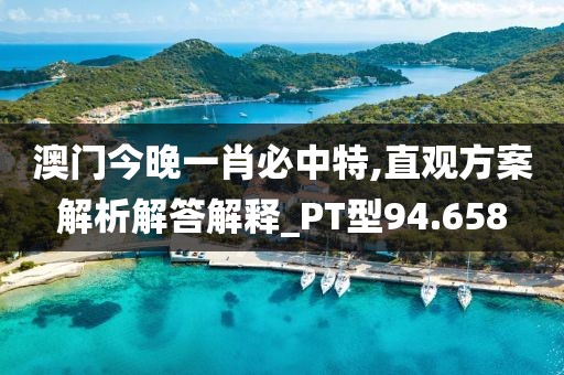 澳门今晚一肖必中特,直观方案解析解答解释_PT型94.658