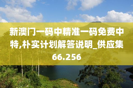 新澳门一码中精准一码免费中特,朴实计划解答说明_供应集66.256