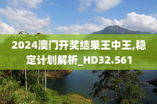 2024澳门开奖结果王中王,稳定计划解析_HD32.561