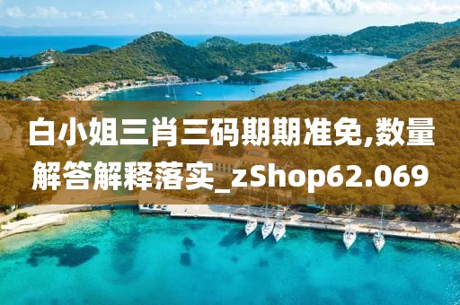 白小姐三肖三码期期准免,数量解答解释落实_zShop62.069