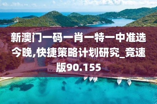 新澳门一码一肖一特一中准选今晚,快捷策略计划研究_竞速版90.155