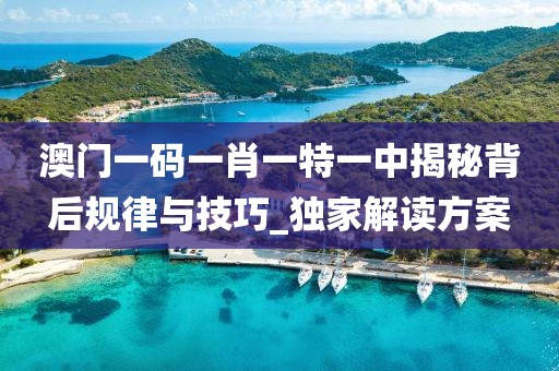 澳门一码一肖一特一中揭秘背后规律与技巧_独家解读方案