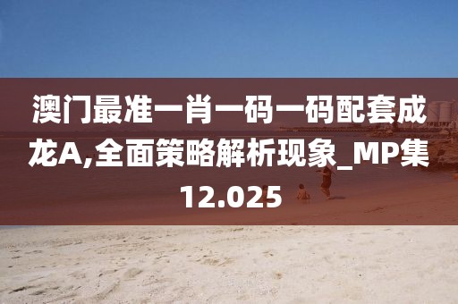 澳门最准一肖一码一码配套成龙A,全面策略解析现象_MP集12.025