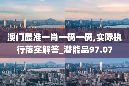 澳门最准一肖一码一码,实际执行落实解答_潜能品97.07