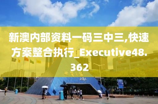 新澳内部资料一码三中三,快速方案整合执行_Executive48.362