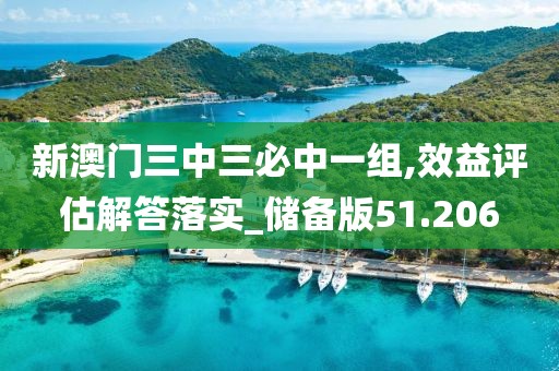 新澳门三中三必中一组,效益评估解答落实_储备版51.206