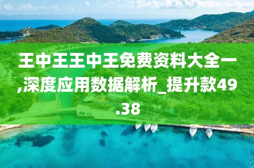 王中王王中王免费资料大全一,深度应用数据解析_提升款49.38