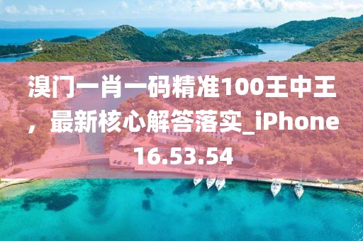 溴门一肖一码精准100王中王，最新核心解答落实_iPhone16.53.54