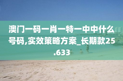 澳门一码一肖一特一中中什么号码,实效策略方案_长期款25.633
