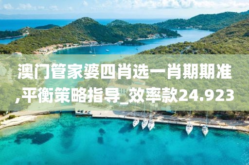澳门管家婆四肖选一肖期期准,平衡策略指导_效率款24.923