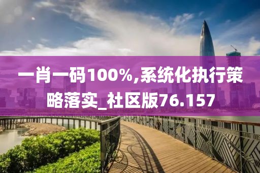 一肖一码100%,系统化执行策略落实_社区版76.157