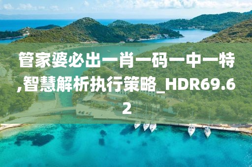 管家婆必出一肖一码一中一特,智慧解析执行策略_HDR69.62