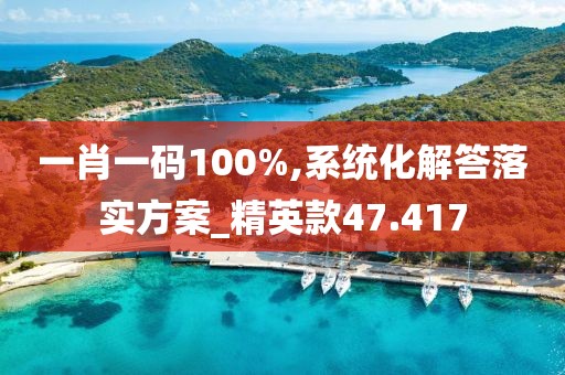 一肖一码100%,系统化解答落实方案_精英款47.417