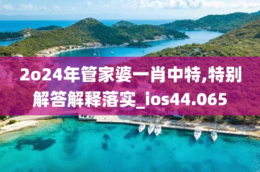 2o24年管家婆一肖中特,特别解答解释落实_ios44.065
