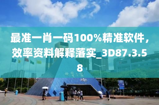 最准一肖一码100%精准软件，效率资料解释落实_3D87.3.58