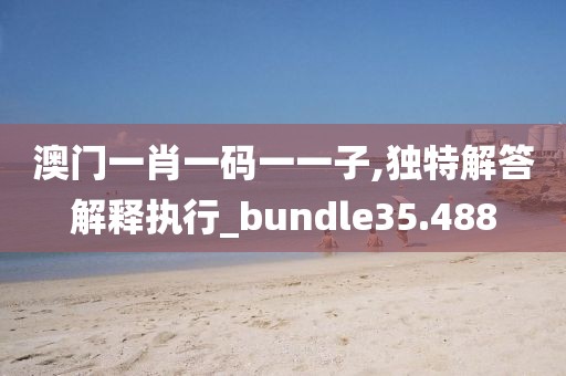 澳门一肖一码一一子,独特解答解释执行_bundle35.488