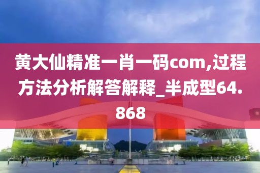黄大仙精准一肖一码com,过程方法分析解答解释_半成型64.868