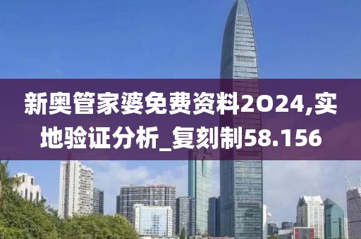 新奥管家婆免费资料2O24,实地验证分析_复刻制58.156
