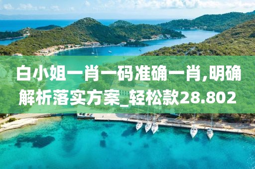 白小姐一肖一码准确一肖,明确解析落实方案_轻松款28.802