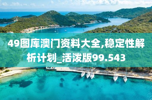 49图库澳门资料大全,稳定性解析计划_活泼版99.543
