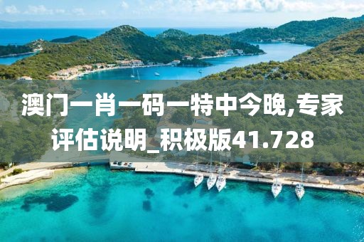 澳门一肖一码一特中今晚,专家评估说明_积极版41.728
