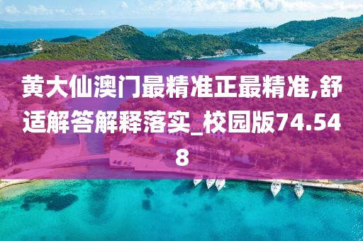 黄大仙澳门最精准正最精准,舒适解答解释落实_校园版74.548