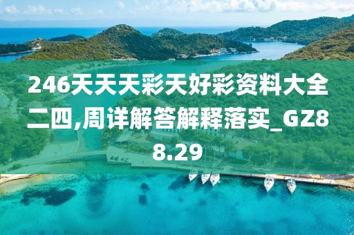 246天天天彩天好彩资料大全二四,周详解答解释落实_GZ88.29