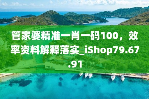 管家婆精准一肖一码100，效率资料解释落实_iShop79.67.91