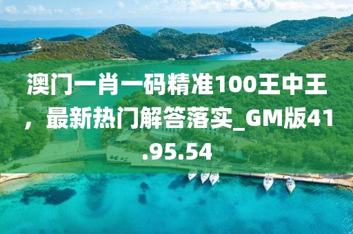 澳门一肖一码精准100王中王，最新热门解答落实_GM版41.95.54