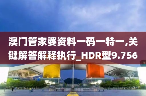 澳门管家婆资料一码一特一,关键解答解释执行_HDR型9.756