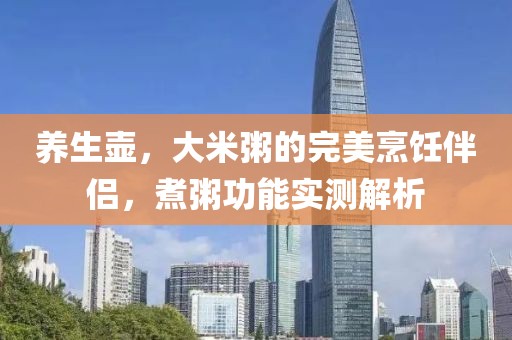 养生壶，大米粥的完美烹饪伴侣，煮粥功能实测解析