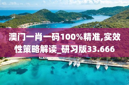 澳门一肖一码100%精准,实效性策略解读_研习版33.666